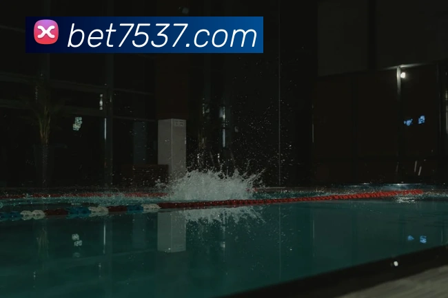 bet365comAPP 封面图